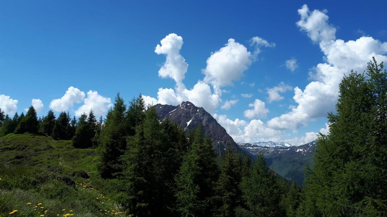 Ferienhaus Willms Am Gaisberg Kirchberg in Tirol Eksteriør bilde