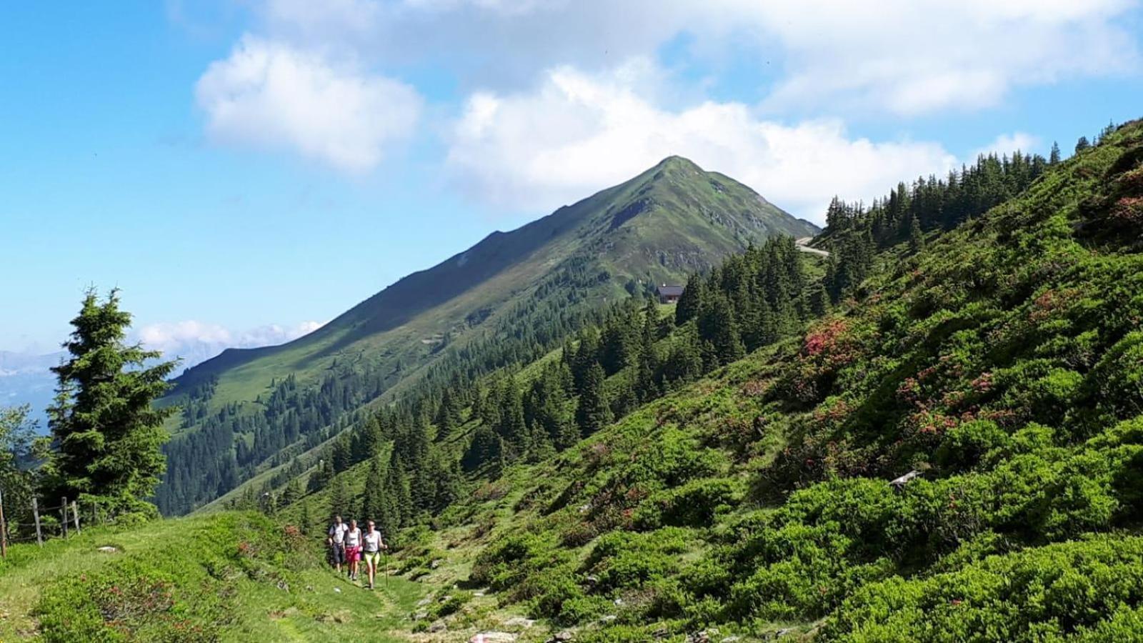 Ferienhaus Willms Am Gaisberg Kirchberg in Tirol Eksteriør bilde